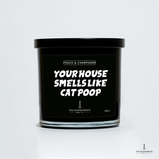 Your house smells like cat poop